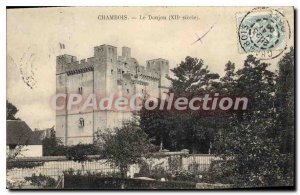 Old Postcard Chambois Le Donjon