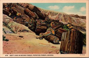 USA Drift Logs In Second Forest Petrified Forest Arizona Linen Postcard C026