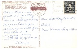 Hawaiian Monkey Pod Tree Hawaii Postcard Posted 1966