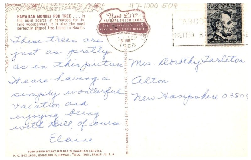 Hawaiian Monkey Pod Tree Hawaii Postcard Posted 1966