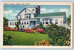 c1940 Chester New Jersey NJ Vintage Postcard Melrose Farms Exterior House Field