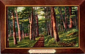 New York Adirondacks The Adirondack Grove 1920