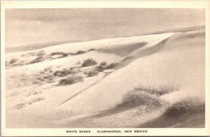 New Mexico Alamogordo White Sands Albertype