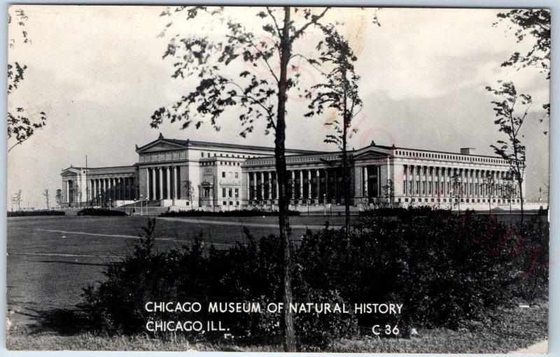 c1940s Chicago RPPC Museum Natural History Real Photo Old World Postcard A95