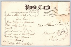 Oregon~Camping @ The Big Trees~Vintage Postcard