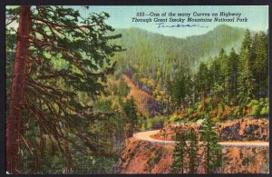 Tennessee One the many Curves on Highway Great Smoky Mountains National Pk LINEN