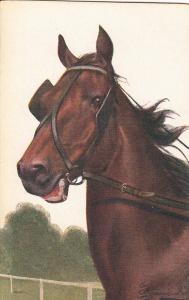 ARTIST SIGNED HORSE EQUESTRIAL ANTIQUE POSTCARD