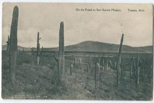 Road to San Xavier Mission Tucson AZ Vintage Postcard Cactus
