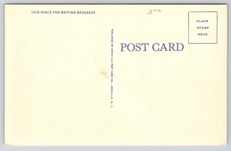 Johnson City Tennessee~Science Hill High School~Grades 9-12~Vintage Linen PC