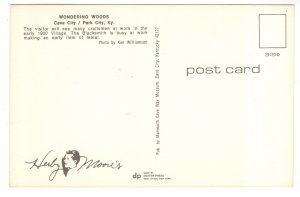 Craftsmen, Tools, Wondering Woods, Herby Moores, Cave  City, Kentucky