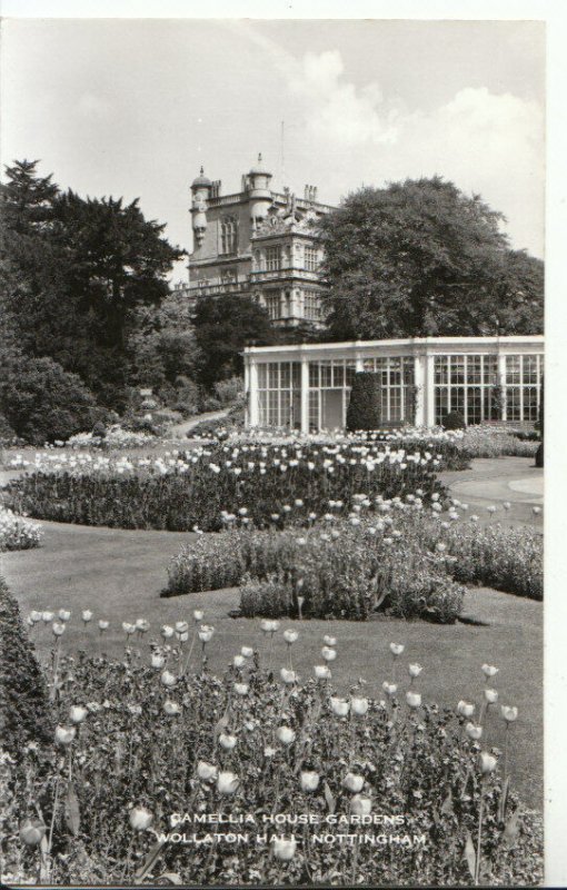 Nottinghamshire Postcard - Camellia House Gardens - Wollaton Hall - Ref 11951A