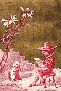 Central Christian Sunday School C. D. Mitchell Sup't Victorian Trade Card F65