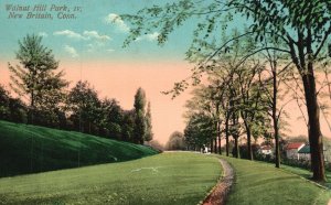 Vintage Postcard Walnut Hill Park Pine Trees Landmark IV New Britain Connecticut