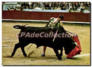 Postcard Modern bullfight