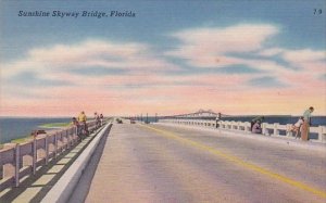 Sunshrine Skyway Bridge Florida