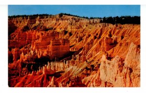 UT - Bryce Canyon Nat'l Park. View from Sunrise Point