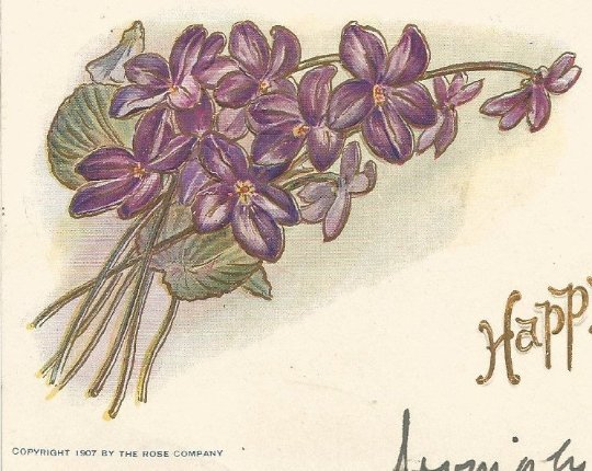 Bouquet of Purple Violets Many Happy Returns Of The Day 1907 Vintage Undivided