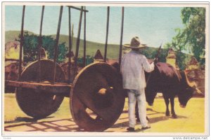 Fresco, Mexico, 30-50s, The Typical Oxcart