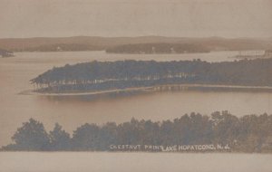 RPPC CHESTNUT POINT LAKE HOPATCONG NEW JERSEY REAL PHOTO POSTCARD (c. 1905)