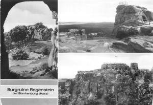 BG29392 burgruine regenstein bei blankenburg harz   germany CPSM 14.5x10cm