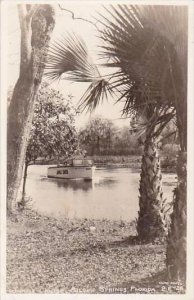 Florida Silver Springs Jungle Cruise Real Photo RPPC