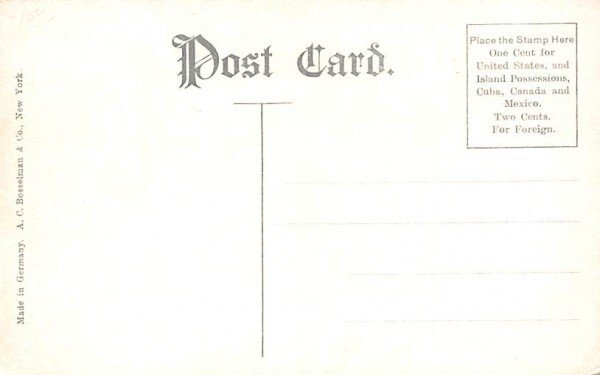 New State Normal College Albany, New York Postcard