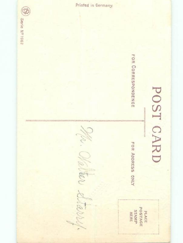 Divided-Back BEAUTIFUL FLOWERS SCENE Great Postcard AA2320