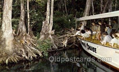 Florida USA Silver Springs, Jungle Cruise Ride Charter Boat, Unused 