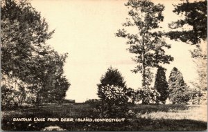 Vtg Bantam Lake from Deer Island Connecticut CT Postcard