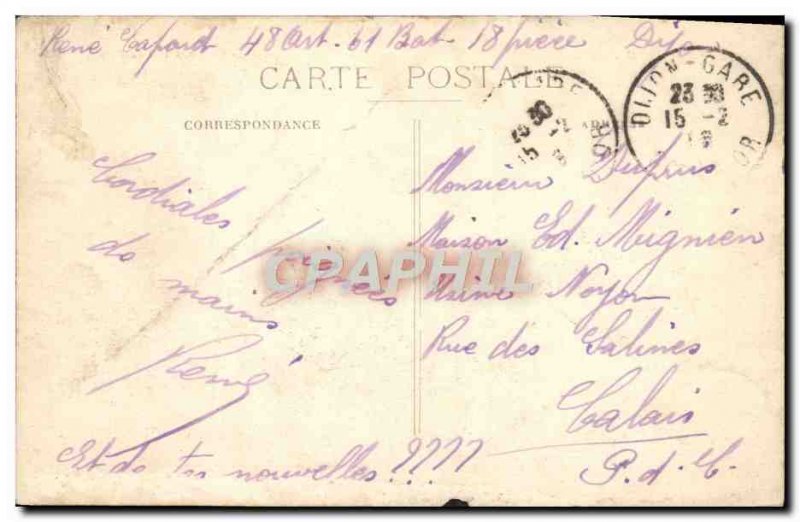 Old Postcard Entree des Allees Dijon Park
