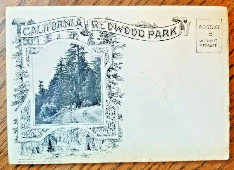 Pacific Novelty Postcard Foldout Views of California Redwood Park c1920