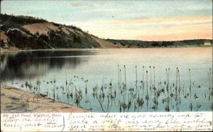 Antique 1912 PC Wellfleet Massachusetts MA Gull Pond Postcard