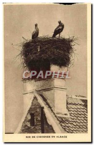 Old Postcard Storks nest in Alsace