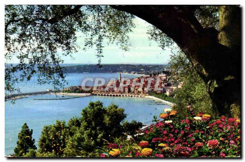 Postcard Moderne Menton Echappee between flowers and olive trees