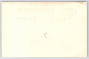 RPPC F Zinn Comic~Came To The West For My Health But Bear Chased Me Up Mountain