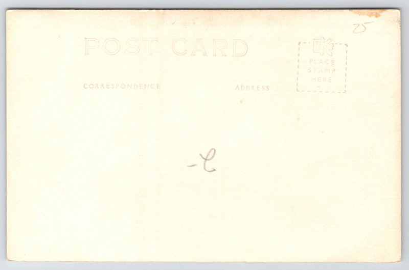 RPPC F Zinn Comic~Came To The West For My Health But Bear Chased Me Up Mountain