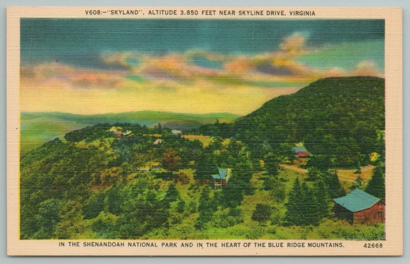 Skyline Drive Virginia~Shenandoah Park Blue Ridge Mts From Air~Vintage Postcard