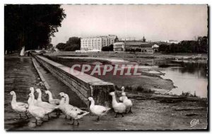 Modern Postcard Dax Les Bords de L Adour