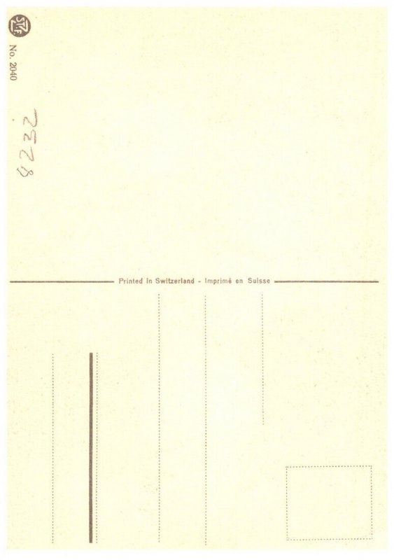 Flowers  artist signed D H Berger