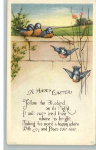 Easter Birds on Brick Wall c1910 Postcard