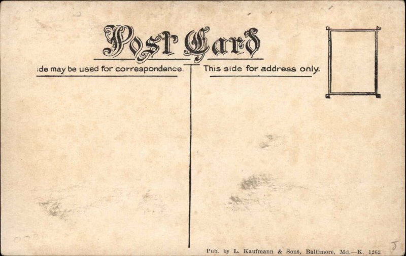 Harrington Delaware DE Commerce St. c1910 Postcard