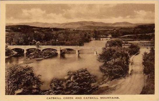 New York Catskill Creek &  Catskill Mountains Albertype