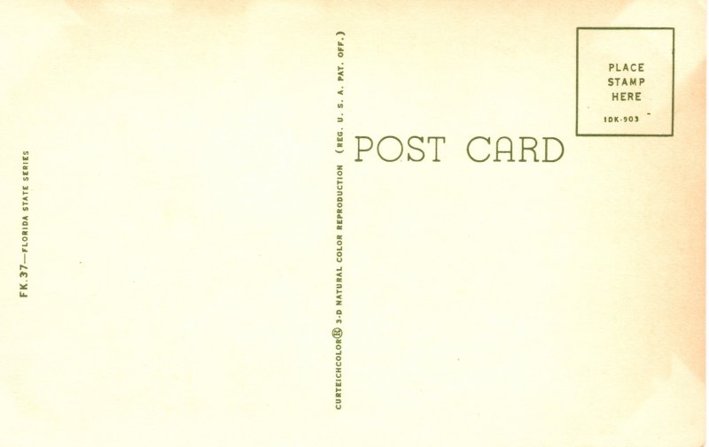 US    PC3614  BLEEDING HEART DOVE, FLORIDA