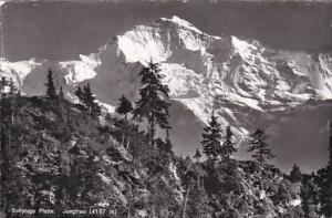 Switzerland Jungfrau Schynige Platte Photo