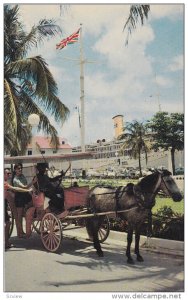 Horse Carriage, NASSAU, Bahamas, 40-60's