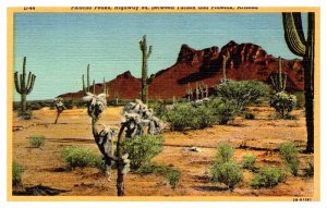 Postcard NATURE SCENE Phoenix Arizona AZ AT6874