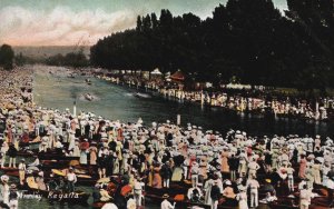 Uk England Henley-on-Thames Henley Regatta Vintage Postcard C276