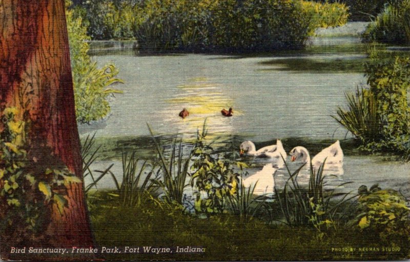 Indian Fort Wayne Frank Park Bird Sanctuary 1949 Curteich