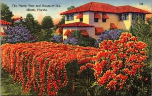 Miami Florida Flame Vine & Bougainvillea Scenic Tropical Foliage Linen Postcard 