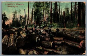 Postcard c1911 Logging In Western Washington From Snohomish to Conneautville PA